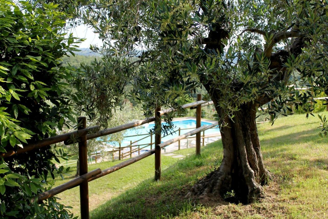 Agriturismo Malagronda Ravigliano Exterior foto